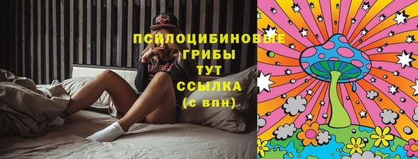 молекула духа Алексин