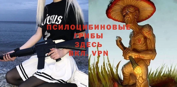 дурь Алексеевка