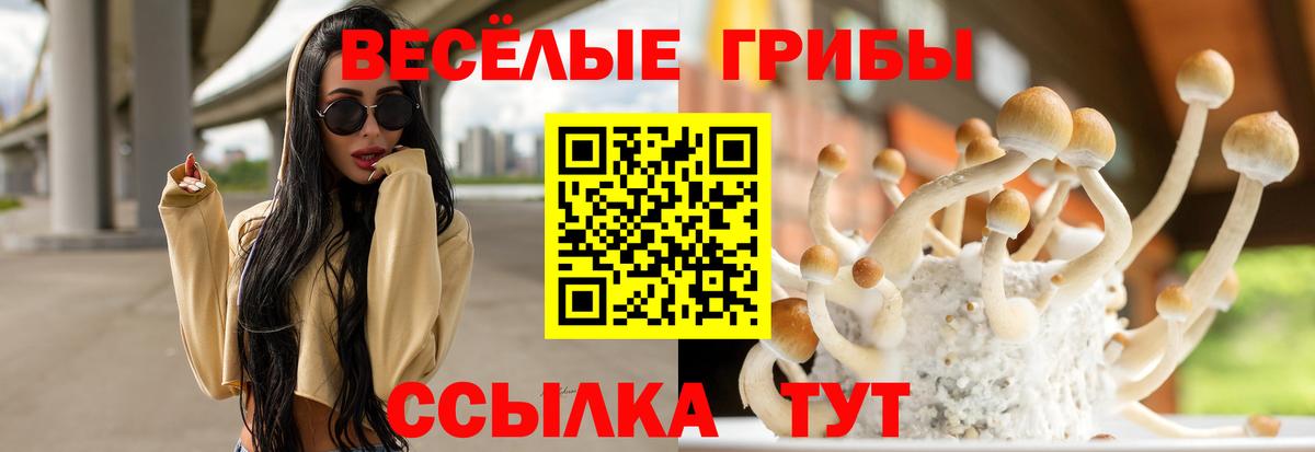 Галлюциногенные грибы мухоморы  Галлюциногенные грибы Psilocybe  Шатура  Вход с VPN 